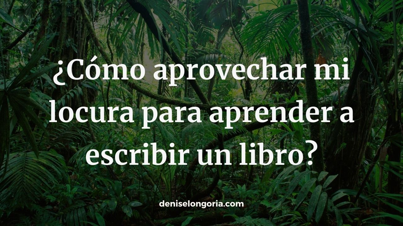 como aprovecho mi locura para aprender a escribir un libro