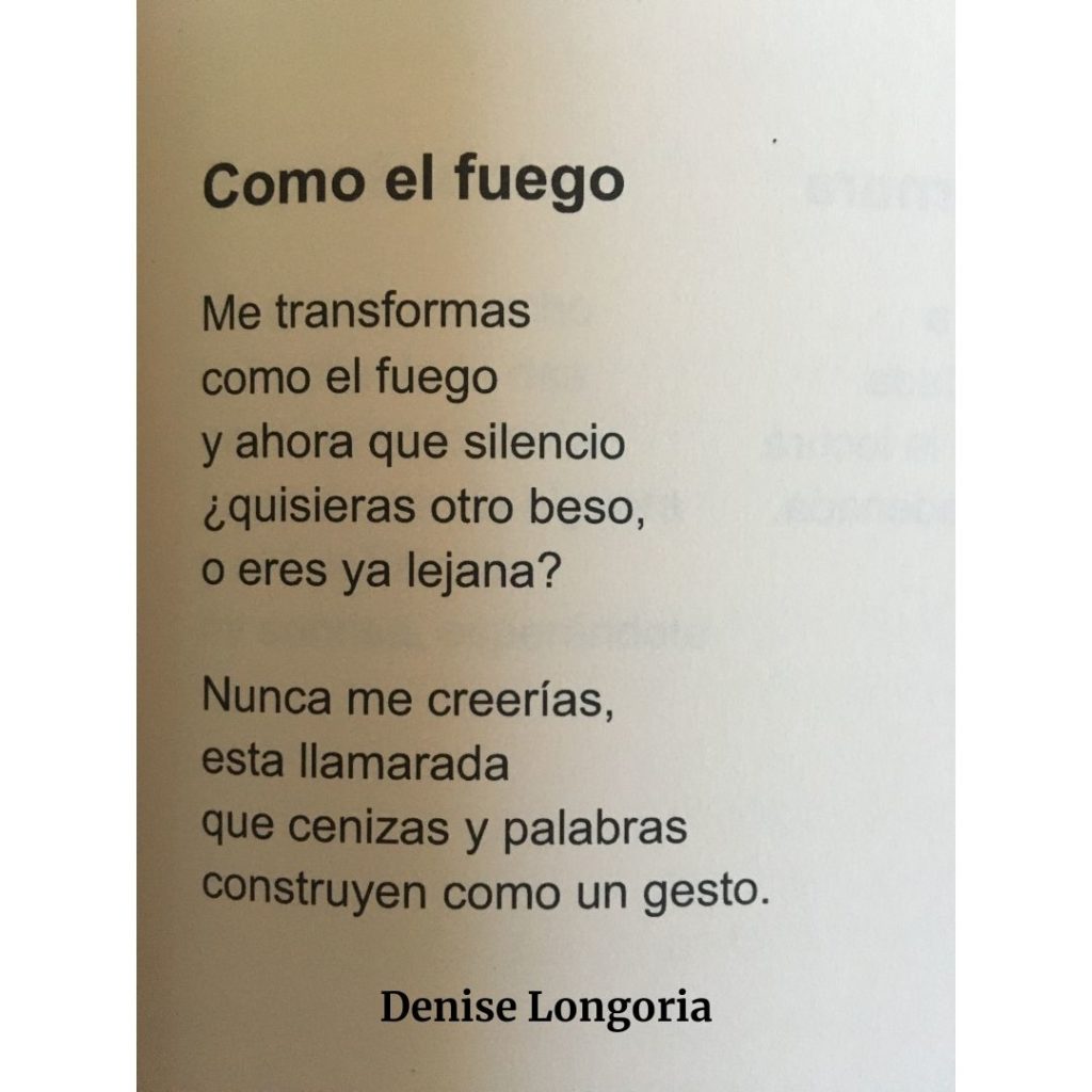 como el fuego poemas de amor lgbtq denise longoria